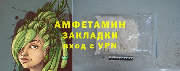 мет Алексин