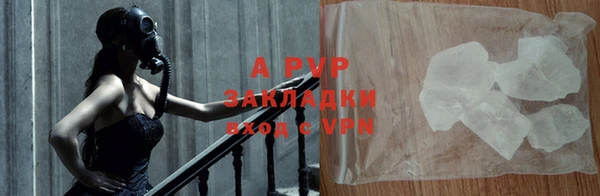 ГАЛЛЮЦИНОГЕННЫЕ ГРИБЫ Пестово